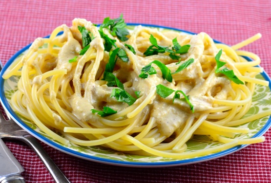 Vegan Speedy Alfredo Style Sauce (No Tofu)