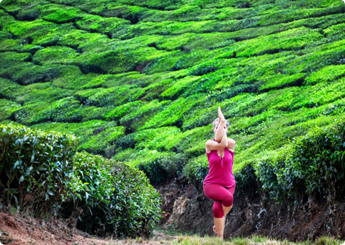 This is How You’re Going to Rock Your Next Yoga Class