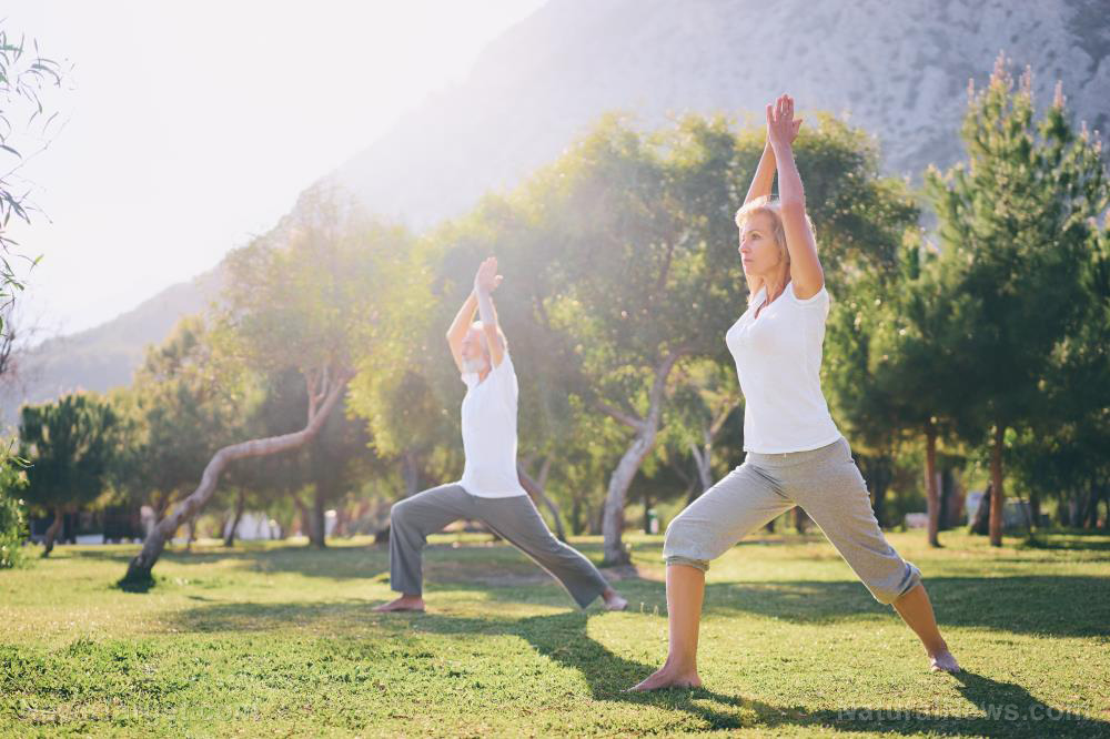 Make the most of your workout with Hatha yoga and enjoy its anti-inflammatory benefits