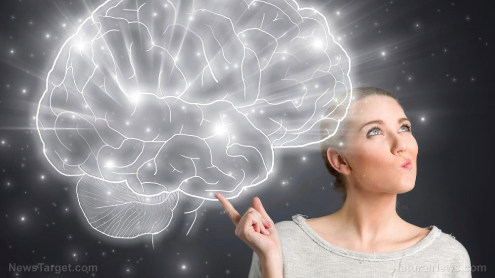 The bigger your brain, the better your cognitive performance: Study