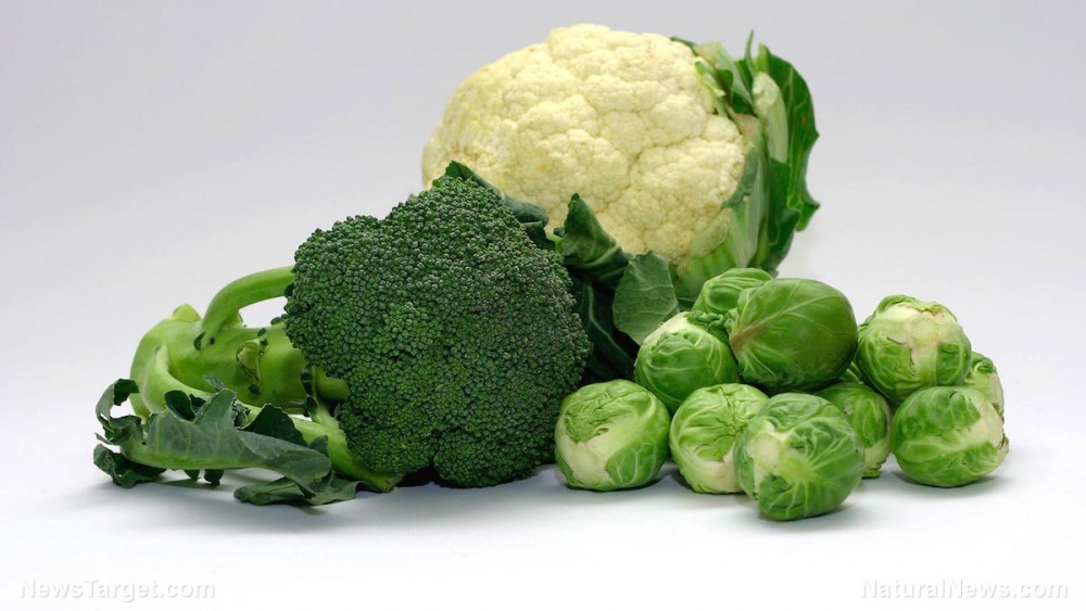 Study: Battling cancer and preventing cancer recurrence with cruciferous vegetables