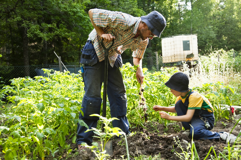 Weed-free gardening: 4 tips for effective weed control