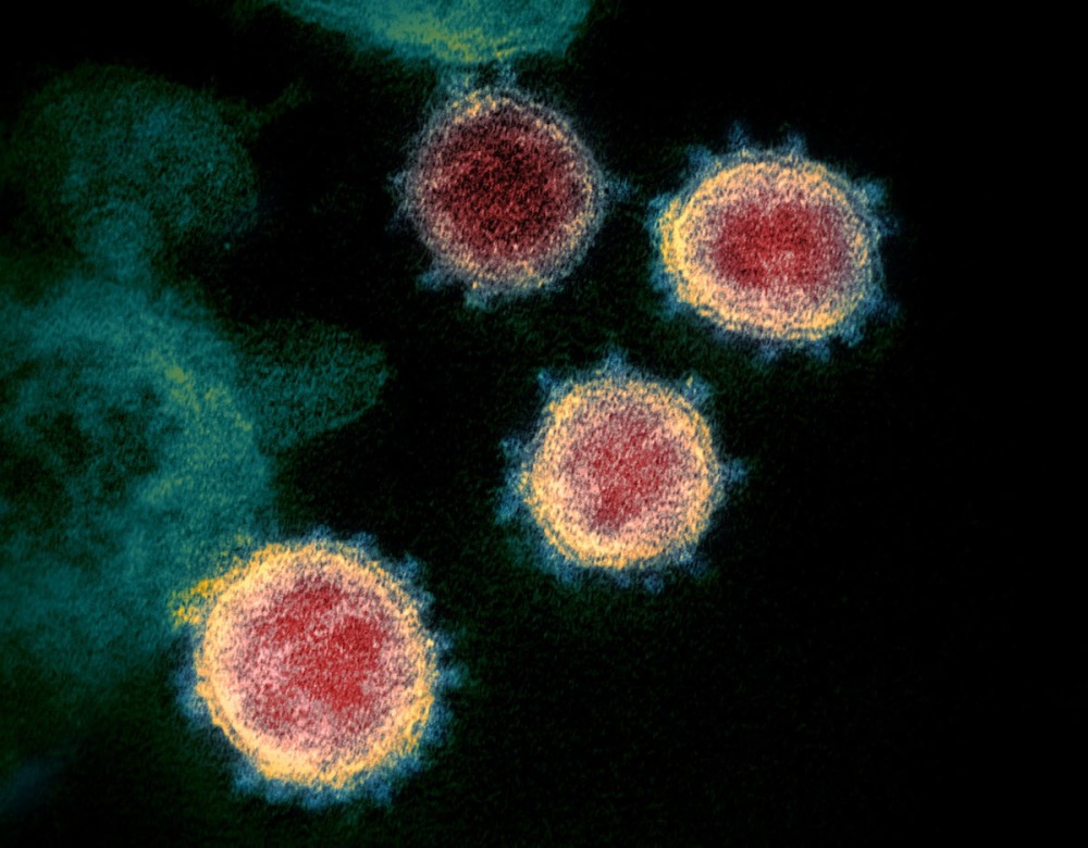 Everything we know about COVID-19 variants like delta-plus