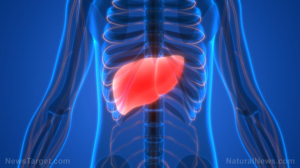 Study: “Good” cholesterol can help prevent liver inflammation