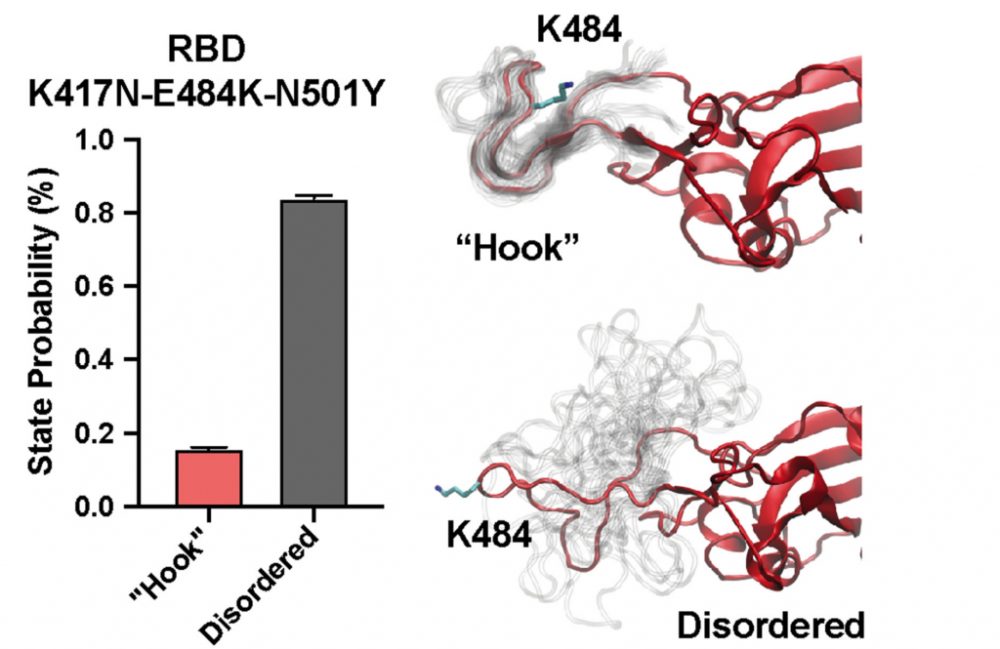 A deep dive on the evolution of COVID and its variants