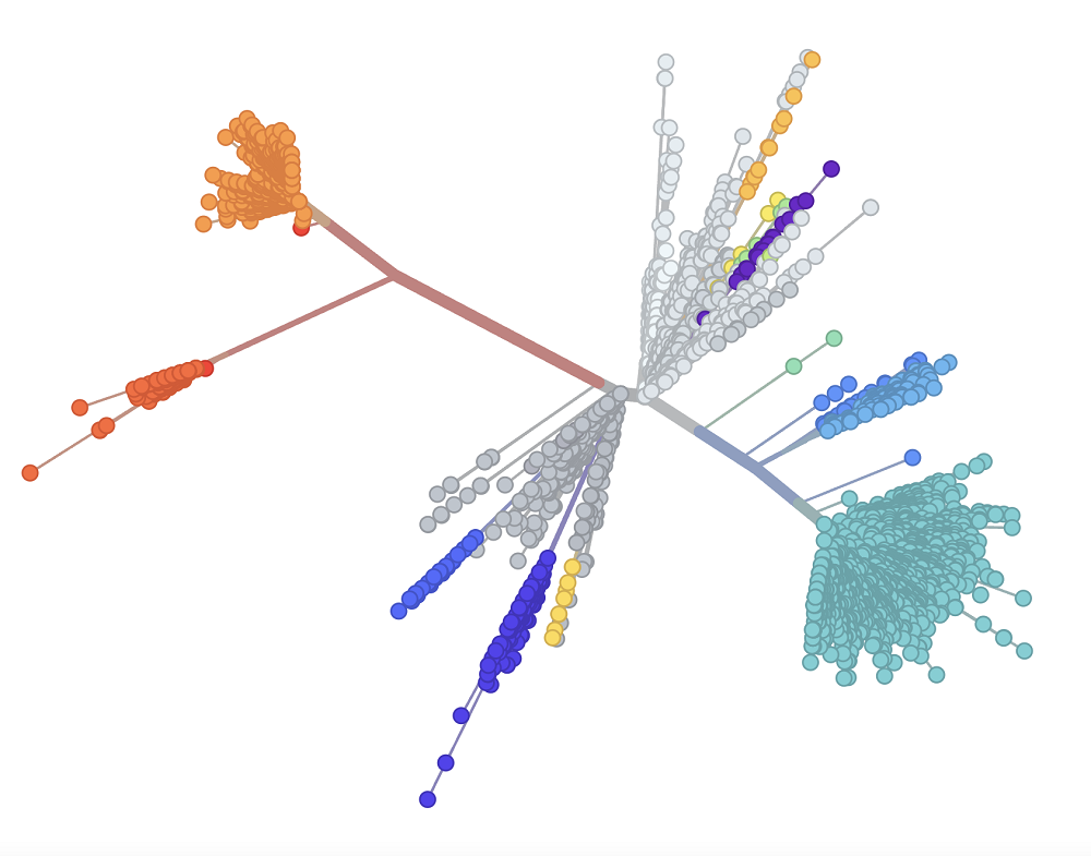 COVID mutations mapped like a tree branch in multicolored dots