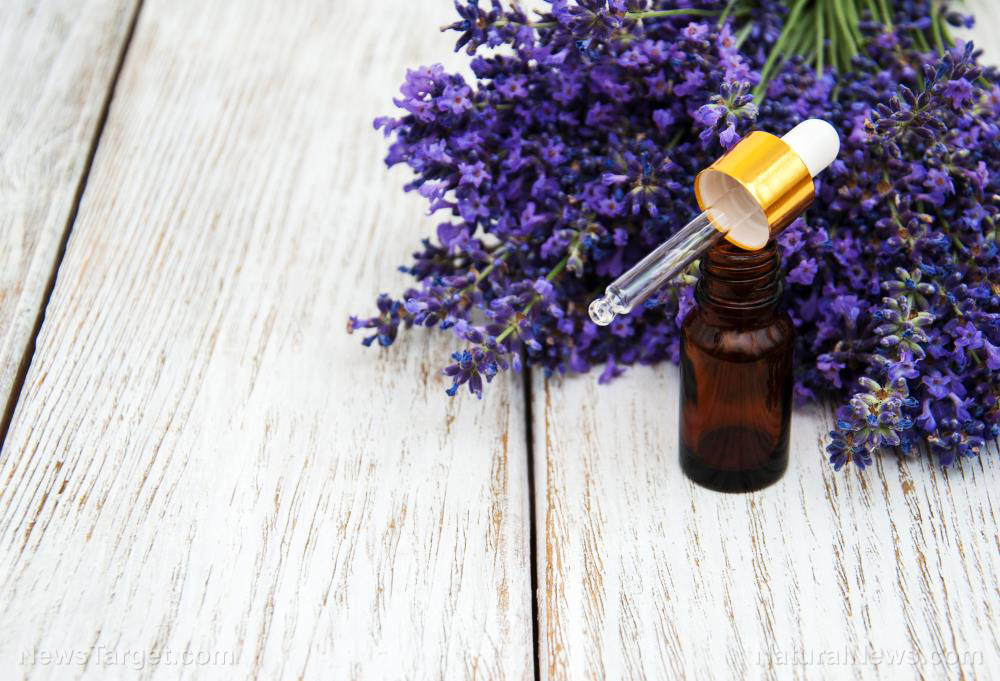 3 Simple ways to disinfect the air in your home with essential oils