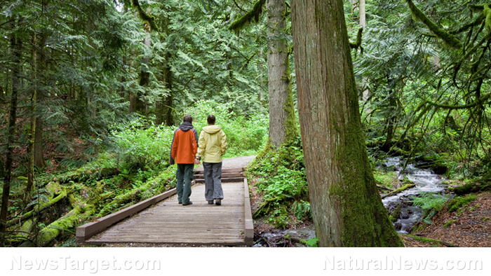 Study: Walking at least 10,000 steps a day reduces risk of dementia by as much as 50%