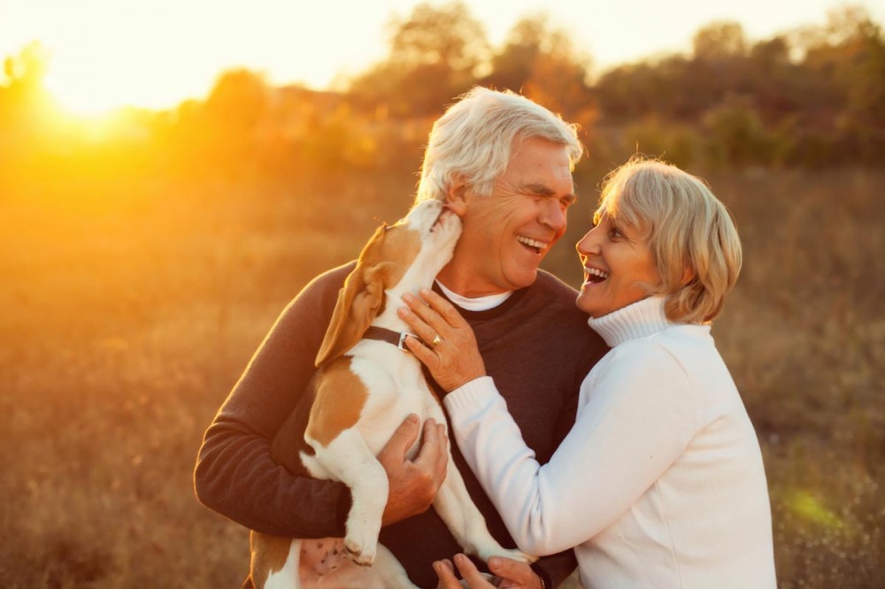 Study: Having pets helps slow cognitive decline among the elderly