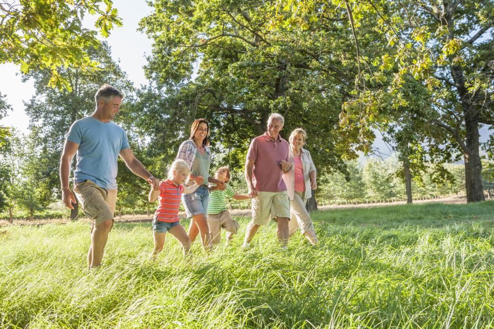 Walking 8,000 brisk steps once or twice a week found to boost heart health