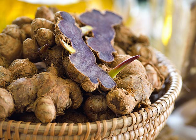 Thai black ginger found to delay arthritis progression and suppress inflammation