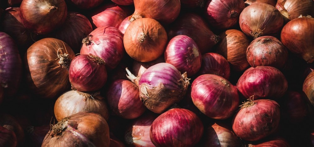 A salmonella outbreak has hit 37 states, and onions are to blame