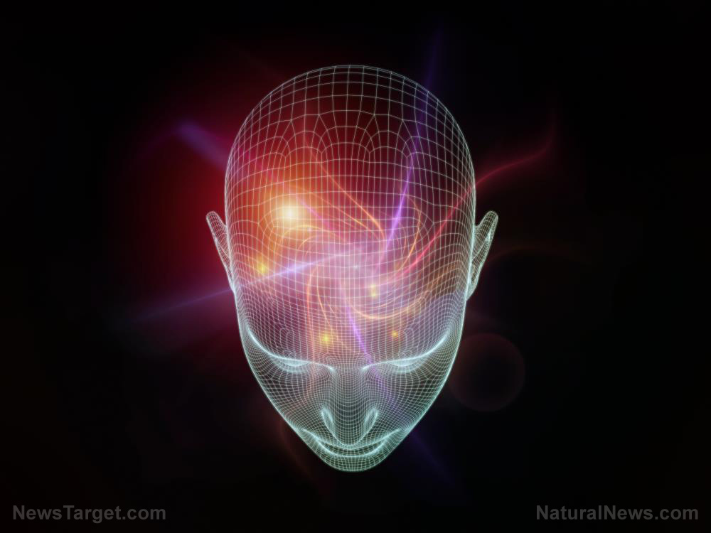 Today I asked our AI language model “Neo” about which phytonutrients or phytochemicals can block the spike protein related to SARS-CoV-2 … Here is what it answered…