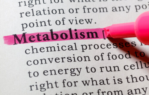 What Is Metabolism? Biochemist Explains How People Convert Energy Differently − And Why It Matters